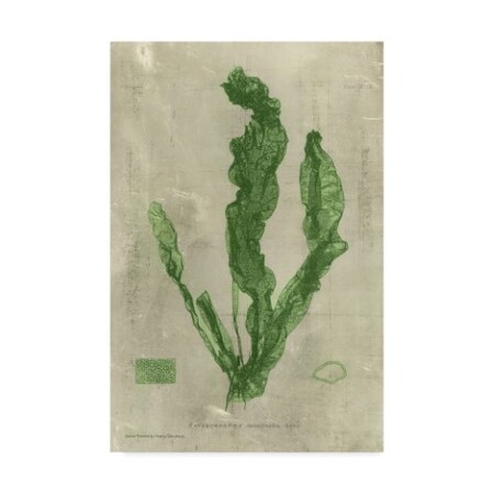 Unknown 'Emerald Seaweed Iv' Canvas Art,30x47